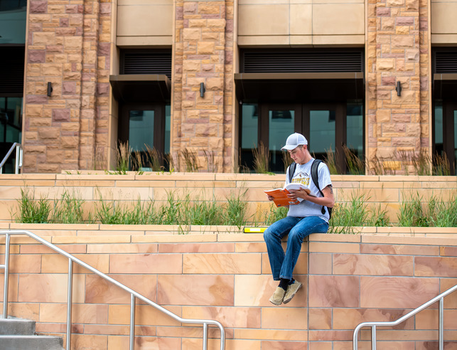 STudent reading, sitting on wall
