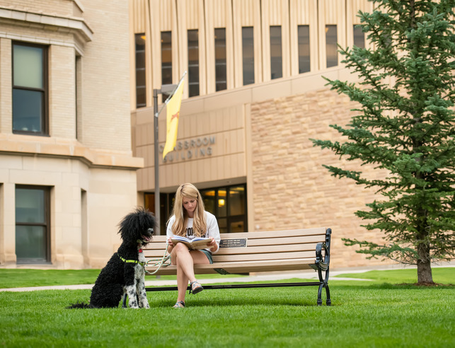 Girl with dog on bench