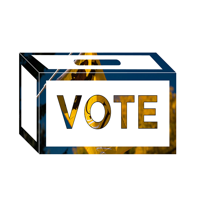 vote box