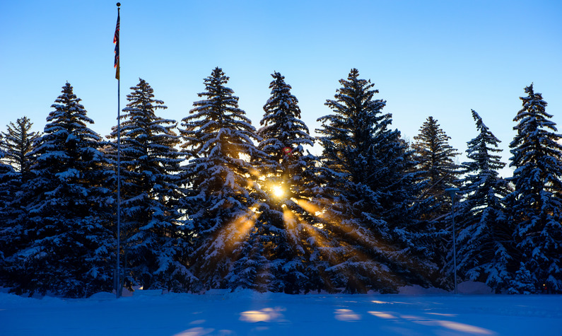 Prexy's Pasture During Winter