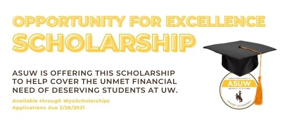 opp-for-excellence scholarship