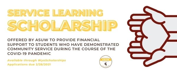 service-learning scholarship