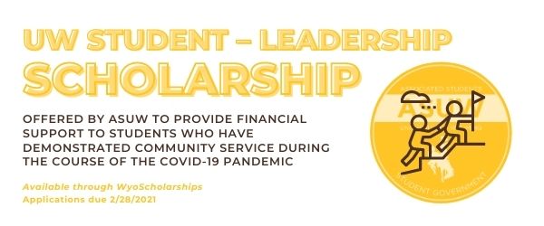 uw-leadership scholarship 