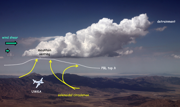 Illustration of cumulus cloud formation