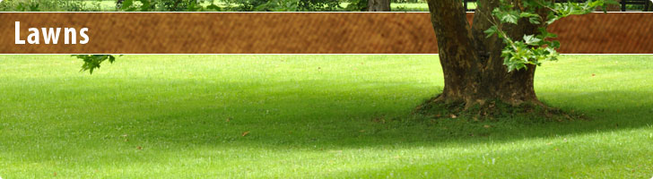Lawns