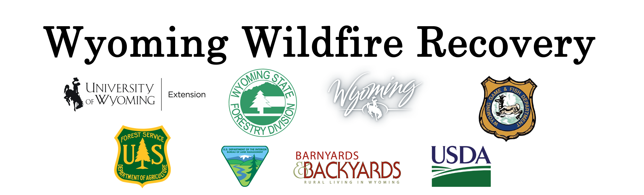 WY Wildfire Fire 