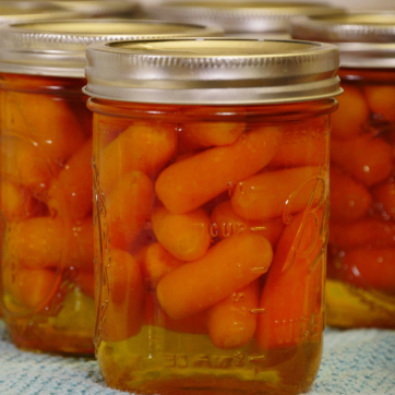 Glass jars filled with home-canned carrots sealed with metal lids.