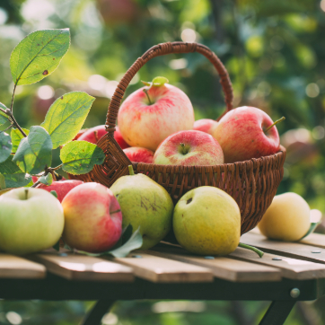 Basket filled with red and green apples on a wooden table outdoors, surrounded by leaves.