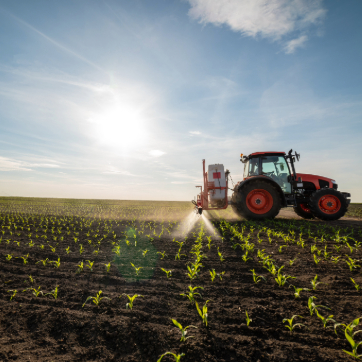 Tractor spraying crops in a field with rows of young plants under a bright sky.