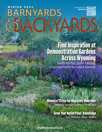 Image of front cover of magazine.  Image of a blooming garden.
