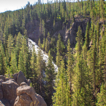 Dense evergreen forest surrounding a narrow rocky canyon with a river or waterfall running through it.