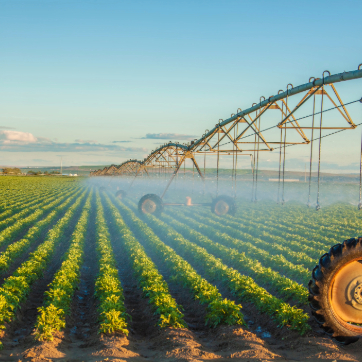 Center pivot irrigation system spraying water over rows of young green crops in a wide agricultural field under a clear sky.