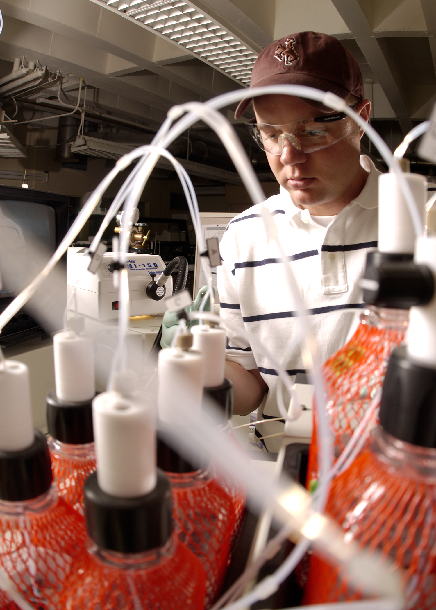 Student examines coal samples