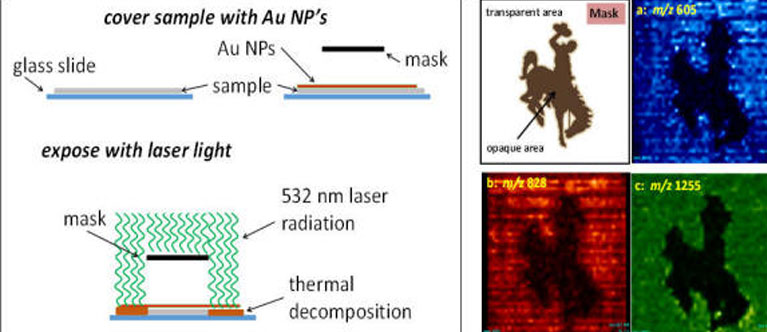 imaging ms