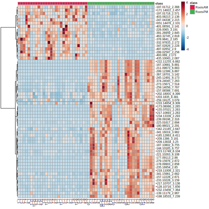 heatmap root exudate