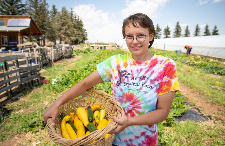 student harvesting veggeis at ACRES Student Farm