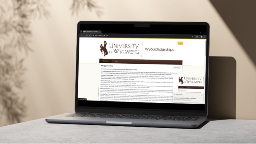 mock-up image of the wyoscholarships homepage