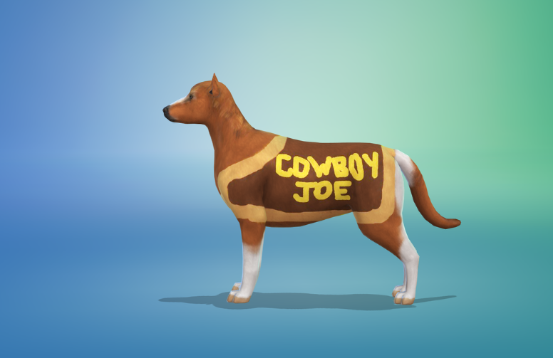 cowboy joe avatar in the Sims