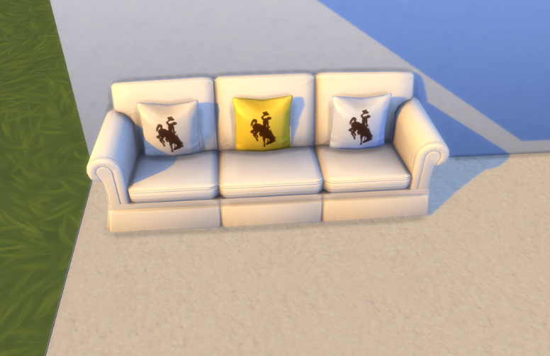 uw couch and pillows