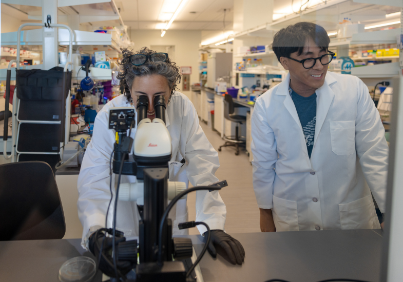 Two researchers working in a lab using a microscope