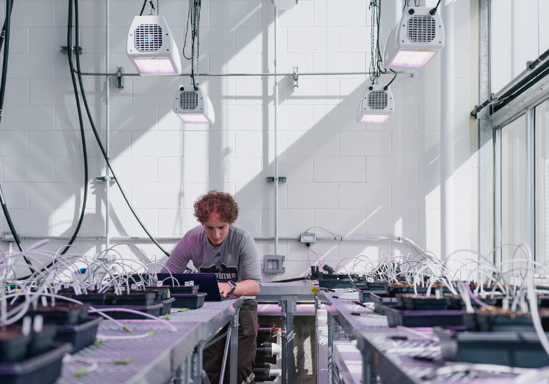 One person working on a computer in plant growth and phenotyping facility