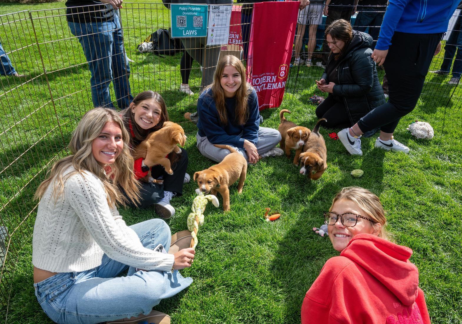 students play with shelter puppies on Prexy's