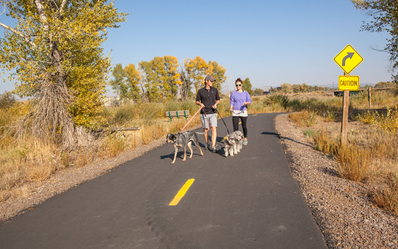 People running on trail with two dogs