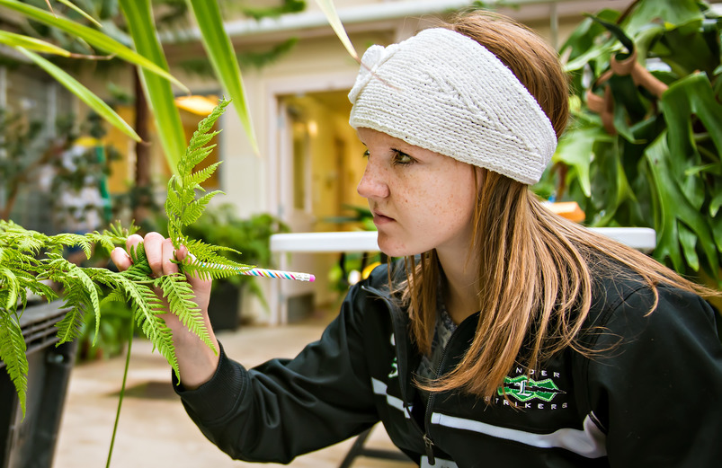 Botany Department