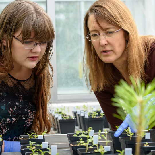Botany faculty