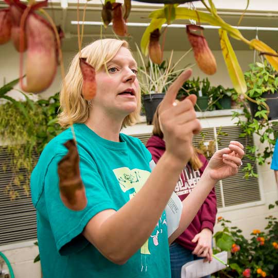 Botany staff