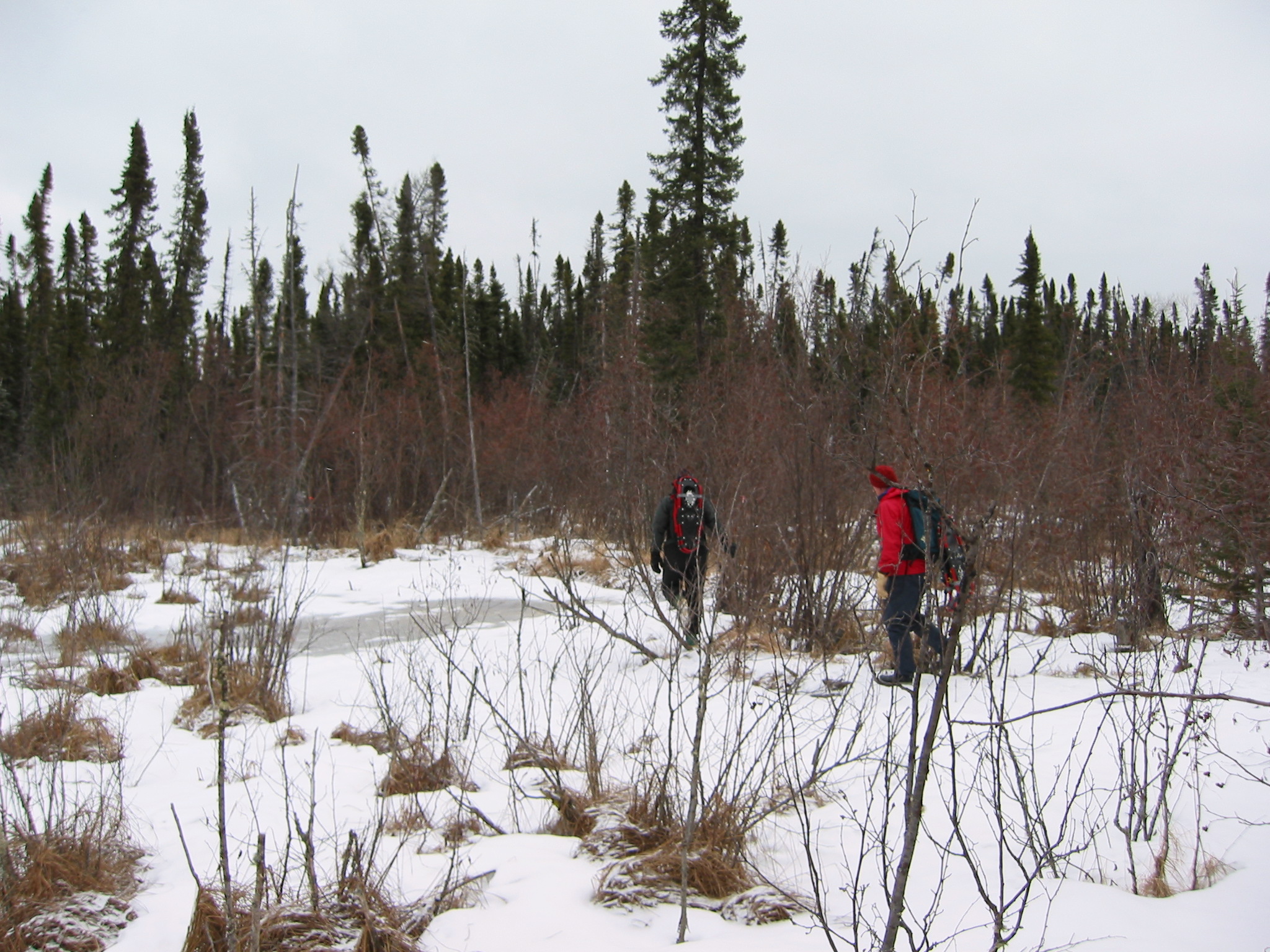 Image of Researchers in field