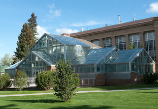 Williams Conservatory