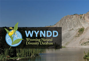 Wyoming Natural Diversity Database (WYNDD)
