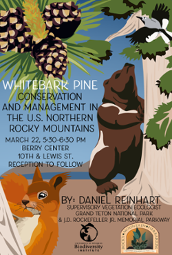 White Pine Flyer - RM Friends Event