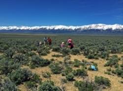 image of field work