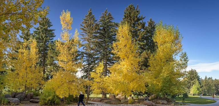 A button with an image of fall trees that leads you to the Human Resources page
