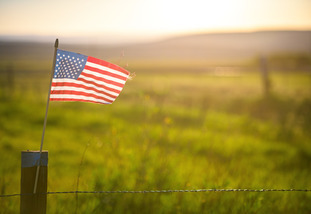 American Flag on a Fence