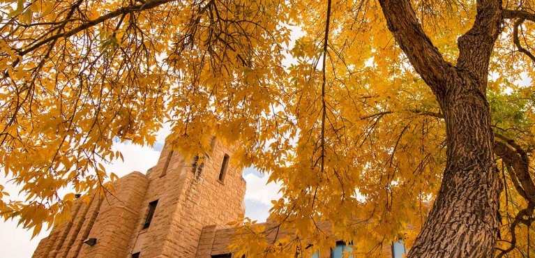 Image of Union Campus Scenic Fall