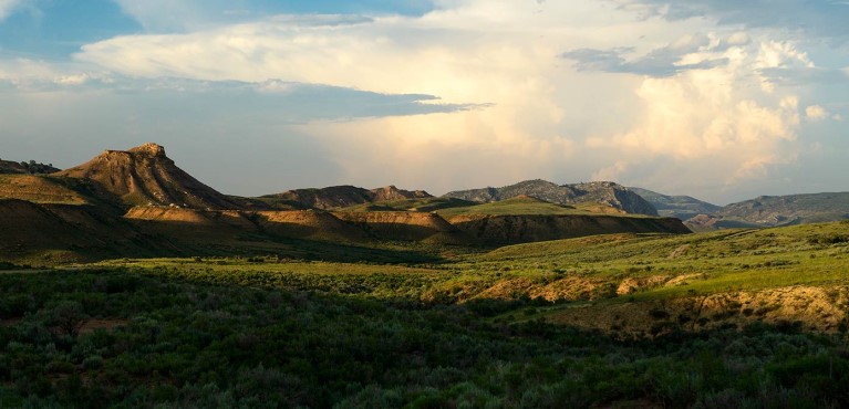 Wyoming landscape