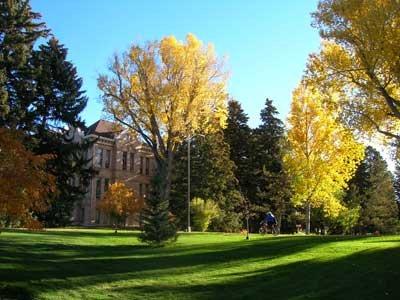 Picture of UW campus in the summer