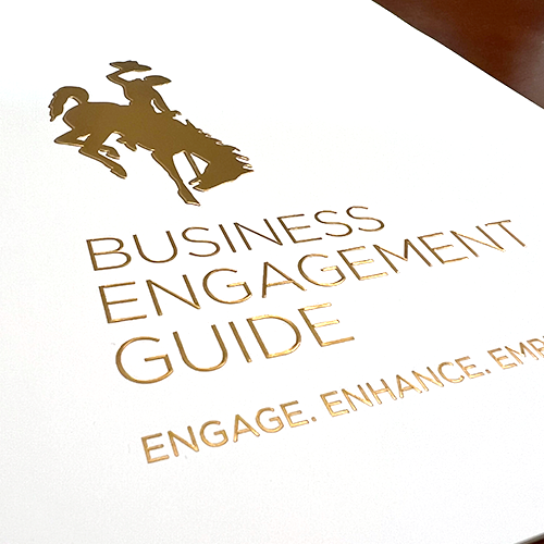 Engagement Guide