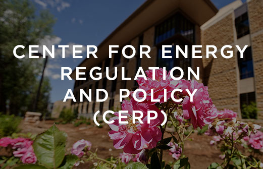 Center for Energy Regulation and Policy
