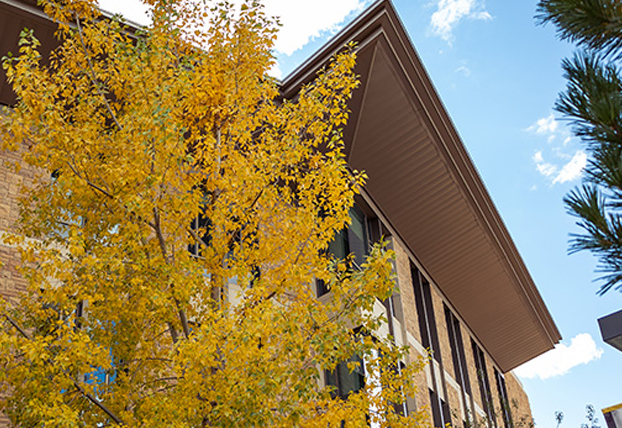 Explore Our Programs