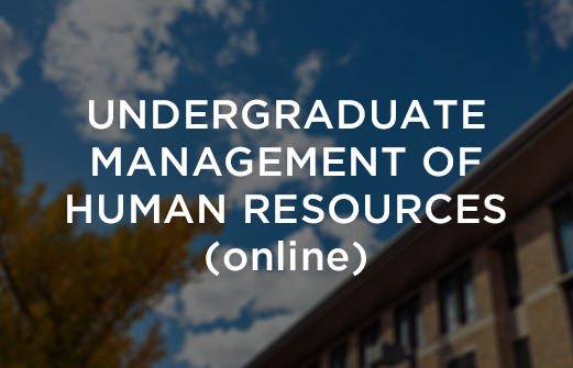 Undergraduate Human Resources Online
