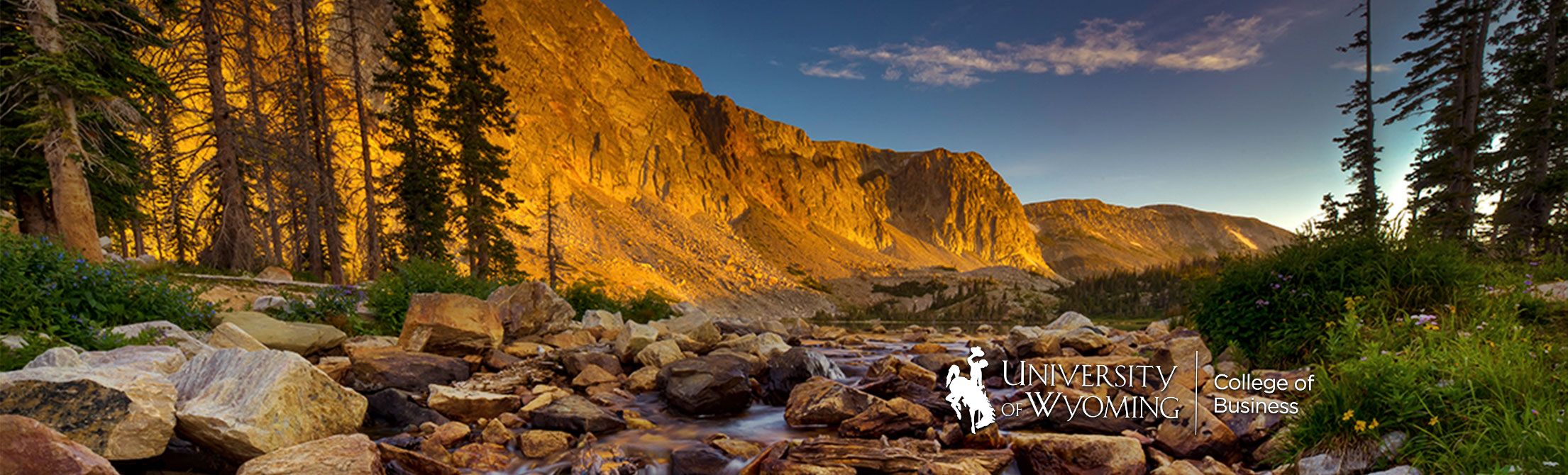 Snowy Range Mountains