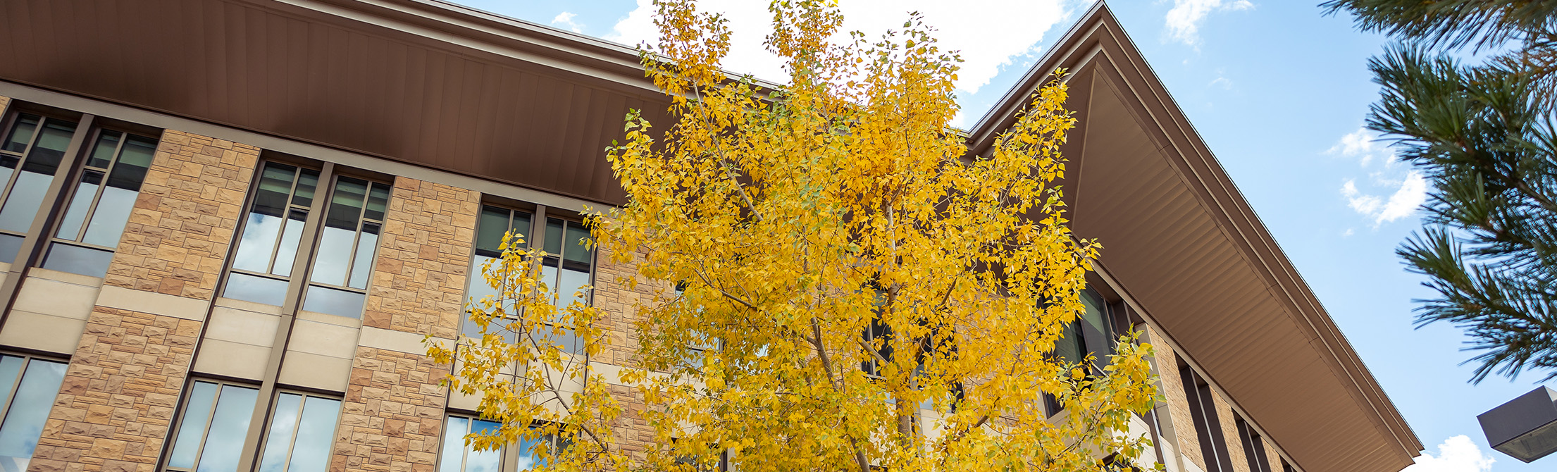 Business Building Exterior