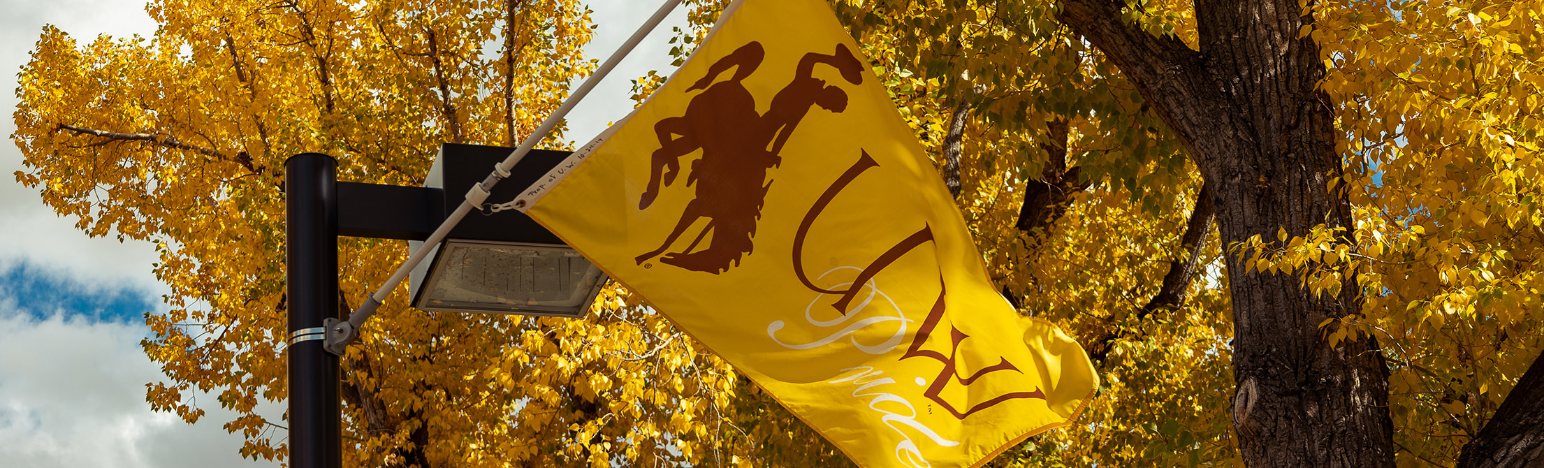 Steamboat logo on flag flying in front of College of Business Building