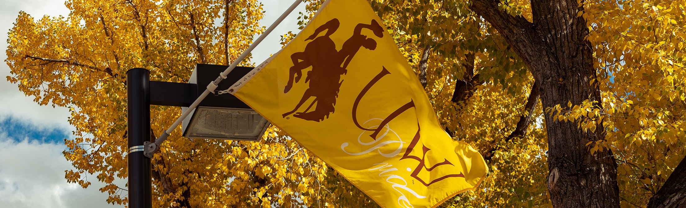 Flag with logo on it flying outside of the building