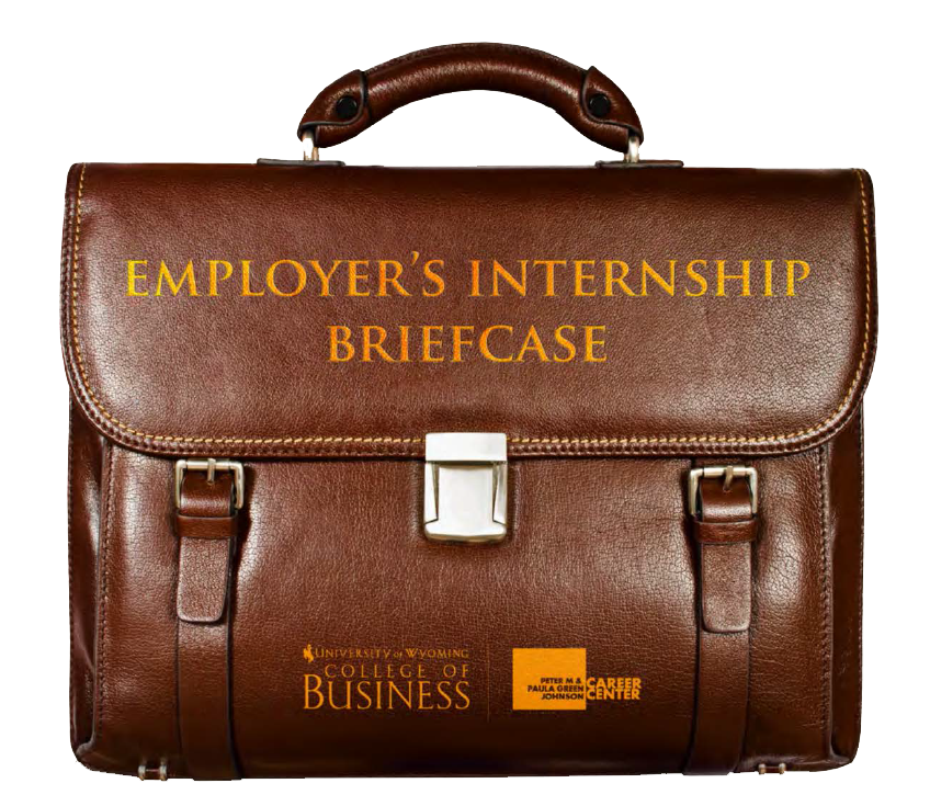 Employer Internship Briefcase logo