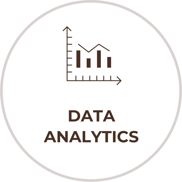 Data Analytics icon